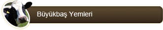 B�y�kba� Hayvan Yemleri